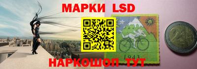 шишки Канаш