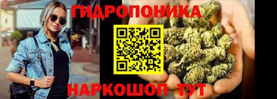 каннабис Кандалакша