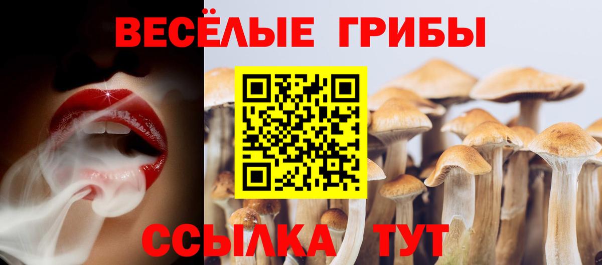 Галлюциногенные грибы ЛСД  Вход с VPN  Псилоцибиновые грибы MAGIC MUSHROOMS  Ликино-Дулёво 